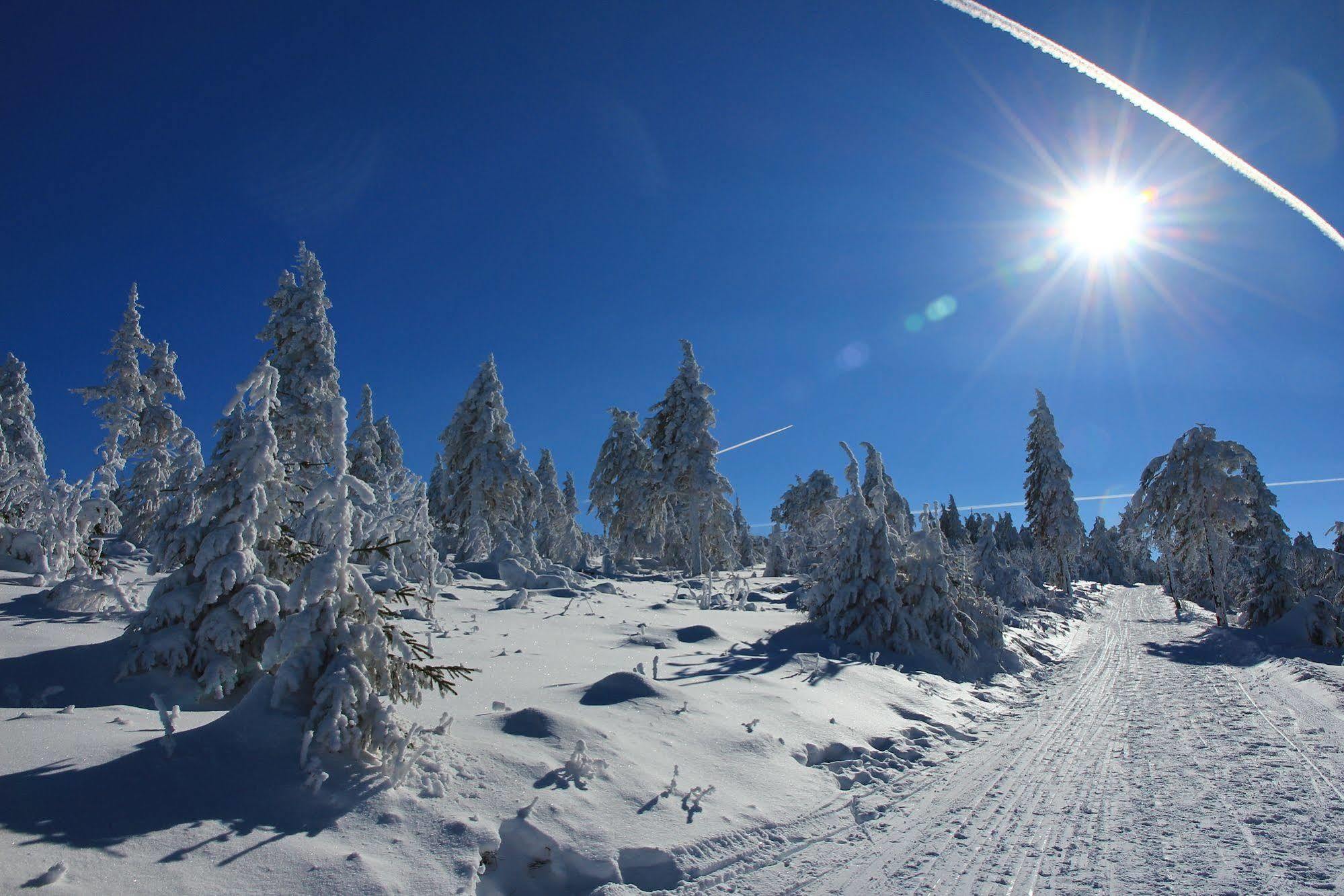 Haus Am Berg - Direkt Am Skihang
